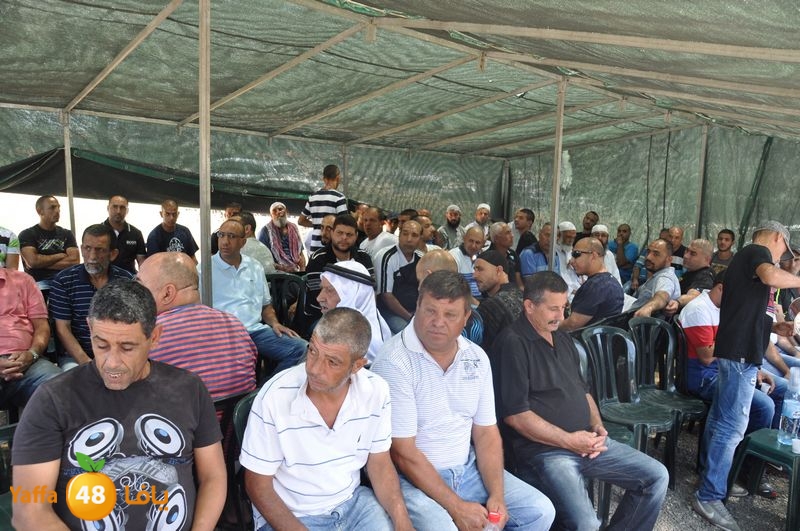 sol7desoqylud615 (80).JPG